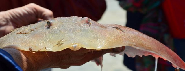 18493732_10211285795254197_2032712780_o 18493732_10211285795254197_2032712780_o