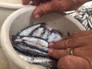 18920797_1783152051995042_6129545983347155443_o 18920797_1783152051995042_6129545983347155443_o