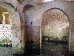 36758848_2212756135619580_2179742232532221952_n 36758848_2212756135619580_2179742232532221952_n