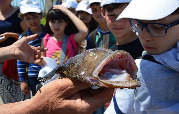 esperienza_24 esperienza_24