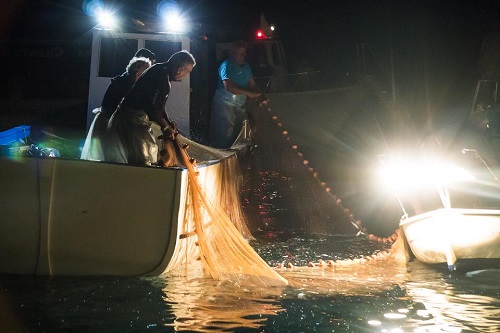 lamparata_cilentouring.it__marina_camerota lamparata_cilentouring.it__marina_camerota