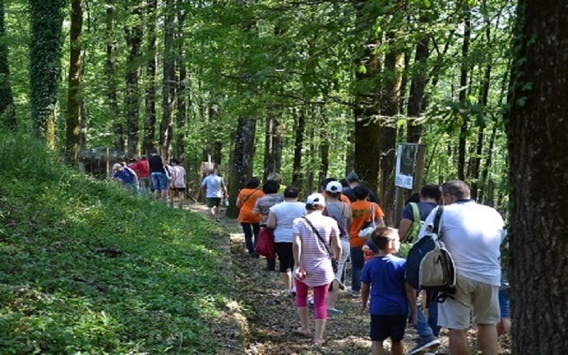 trekking_2 trekking_2